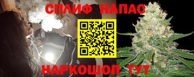 МДПВ Краснознаменск