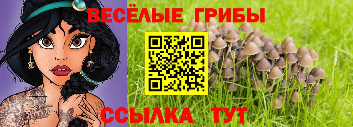 Донской  закладки  Вход с VPN  Галлюциногенные грибы мухоморы 